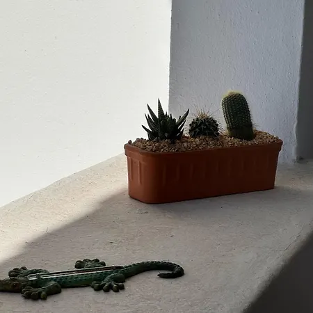 El Minorq'in * Cala En Porter (Menorca)